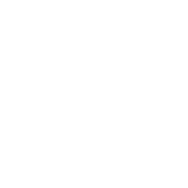 PLAY